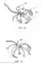 Fig. 11 - Device to permit offpump beating heart coronary bypass surgery