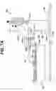 Fig. 15 - Apparatus containing a sensing element for the treatment of skin