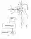 Fig. 01 - Method for non-invasive measurement of spinal deformity