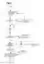 Fig. 05 - Method for non-invasive measurement of spinal deformity