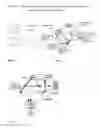Fig. 09 - Positioning devices and methods for in vivo wireless imaging capsules