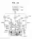 Fig. 22 - Optical system for measuring metabolism in a body and imaging method