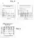 Fig. 09 - Method for bone structure prognosis and simulated bone remodeling