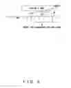 Fig. 09 - Individual identification device