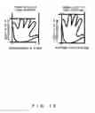 Fig. 17 - Individual identification device