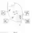 Fig. 06 - Apparatus and method for cardiac ablation