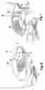 Fig. 07 - Security assembly for fitting to a syringe, and a syringe assembly