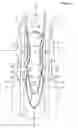 Fig. 06 - Elongated absorbent article with compressed groove