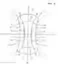 Fig. 06 - Absorbent article with resilient portion and method for manufacturing the same