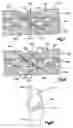 Fig. 05 - Method of securing tissue