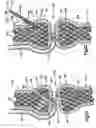 Fig. 07 - Method of securing tissue