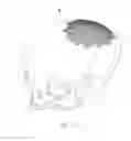 Fig. 08 - Resorbable surgical fixation device