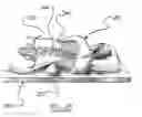 Fig. 25 - Surgical access system and related methods