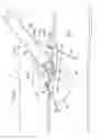 Fig. 07 - Suturing device with split arm and method of suturing tissue
