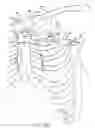 Fig. 65 - Devices and methods for performing a vascular anastomosis