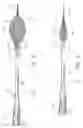Fig. 07 - Vascular catheter with an expandable section and a distal tip for delivering a thromboembolic protection device and method of use