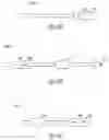 Fig. 08 - Baroreflex stimulation synchronized to circadian rhythm