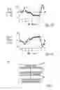 Fig. 20 - Sensing with compensation for neural stimulator