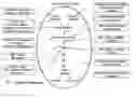 Fig. 01 - Electrical devices and anti-scarring agents