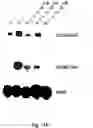 Fig. 15 - Electrical devices and anti-scarring agents