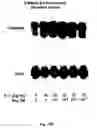 Fig. 17 - Electrical devices and anti-scarring agents