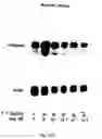 Fig. 22 - Electrical devices and anti-scarring agents