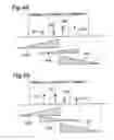 Fig. 05 - Audio decoding apparatus and method for band expansion with aliasing adjustment