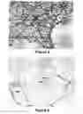 Fig. 06 - Methods, systems and computer program products for planning resources based on primary and alternate location relief strategies