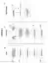Fig. 04 - System and method for receiving and responding to promotional offers using a mobile phone