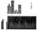Fig. 43 - Apparatus, method and system for providing an electronic marketplace for trading credit default swaps and other financial instruments, including a trade management service system