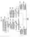 Fig. 115 - Information processing device and method, program, and recording medium