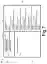 Fig. 08 - Dynamically generating multiple hierarchies of inter-object relationships based on object attribute values