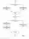 Fig. 20 - One-way data mirror using write logging