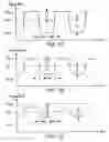 Fig. 07 - Apparatus and method for topography dependent signaling