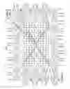 Fig. 07 - Integrated circuit with coupled processing cores