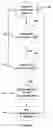 Fig. 12 - System and method for on-line definition of web pages