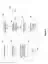 Fig. 08 - Positionally encoded document image analysis and labeling