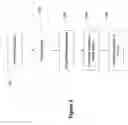 Fig. 09 - Positionally encoded document image analysis and labeling