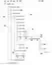Fig. 01 - Methods, systems and computer program products for providing multi-dimensional tree diagram graphical user interfaces