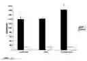 Fig. 02 - Method for improving phytoremediation treatment of a contaminated medium