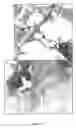 Fig. 08 - Defensin-like amino acid molecules derived from , uses therefor and transgenic plants comprising same