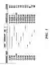 Fig. 02 - DNA construct to confer multiple traits on plants