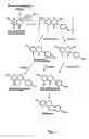 Fig. 02 - Isoflavonoid methylation enzyme