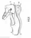 Fig. 06 - Shoe with a decorative showcase