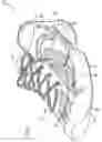 Fig. 02 - Clothing with externally activated switch