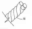 Fig. 01 - Whale safe groundline