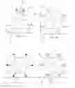 Fig. 02 - INSECTICIDE PRESENTATION DEVICE