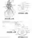 Fig. 06 - Decorative assembly for a floral grouping