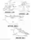 Fig. 07 - Decorative assembly for a floral grouping