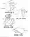 Fig. 12 - Decorative assembly for a floral grouping